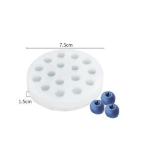 Blueberry Silicone Mould